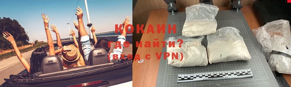 индика Бронницы